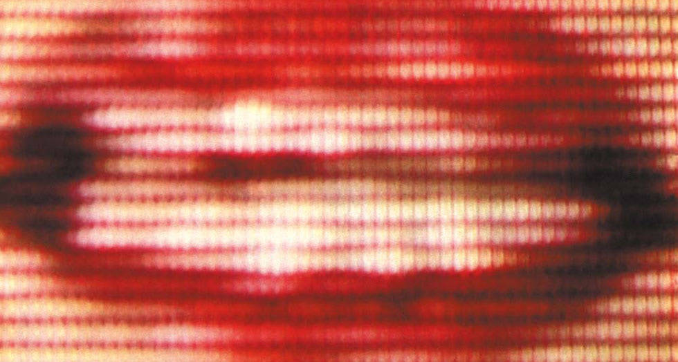 Bert Dautzenberg Contact